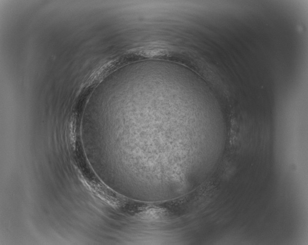 X0000085290210200703161459