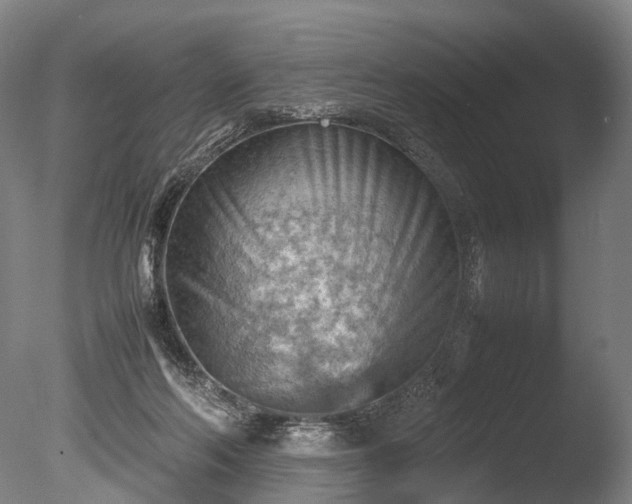 X0000085290214200703161459