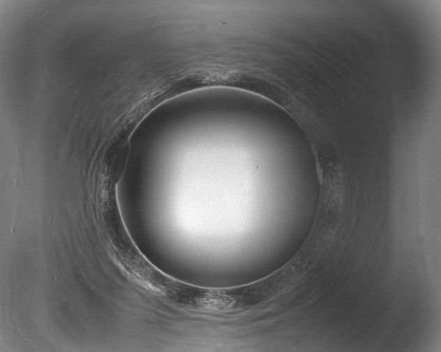 X0000085290215200703161459