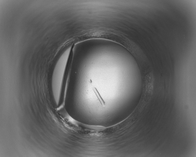 X0000085290216200703161459