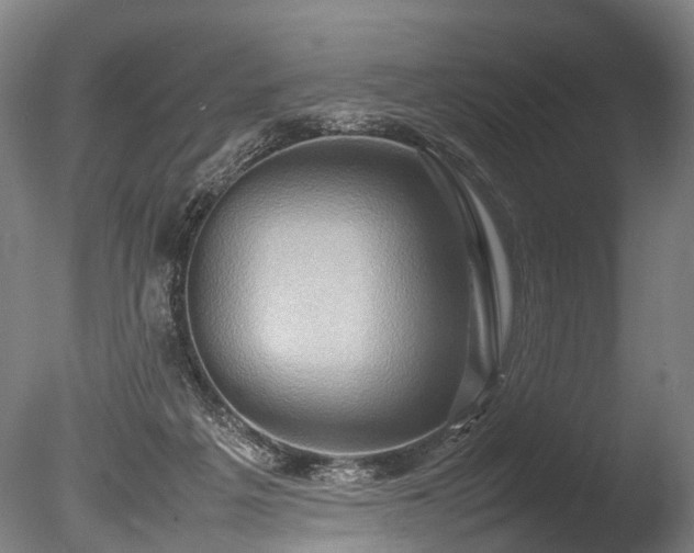 X0000085290217200703161459