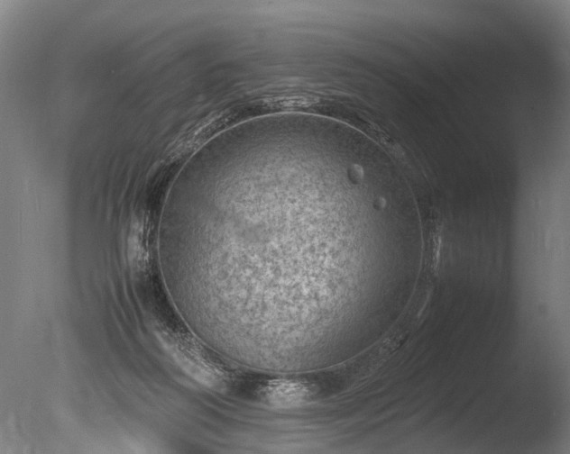 X0000085290218200703161459