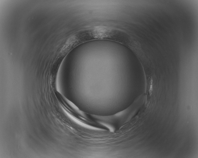 X0000085290219200703161459