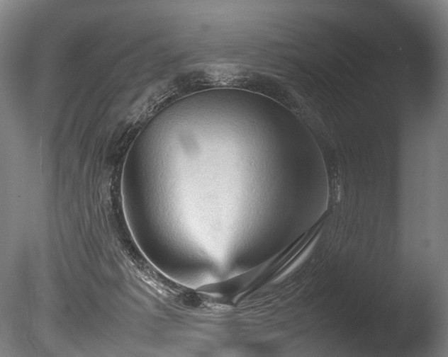 X0000085290221200703161459