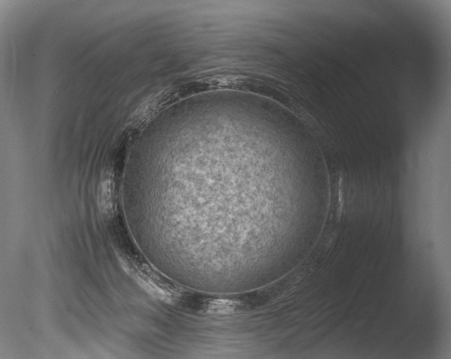 X0000085290222200703161458