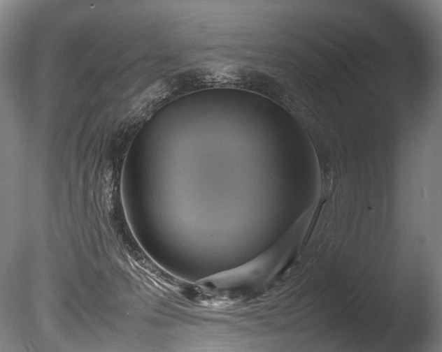 X0000085290223200703161458