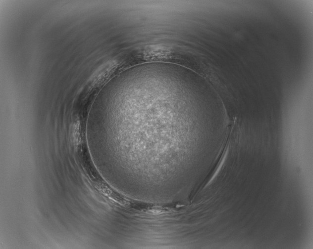 X0000085290224200703161458