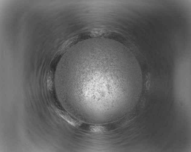 X0000085290226200703161458