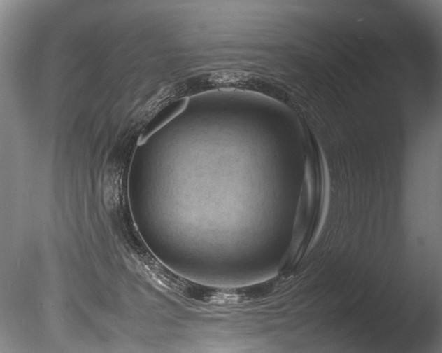 X0000085290227200703161458