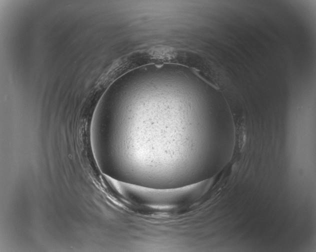 X0000085290229200703161458