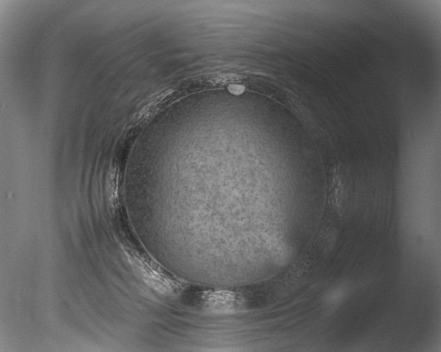 X0000085290230200703161458