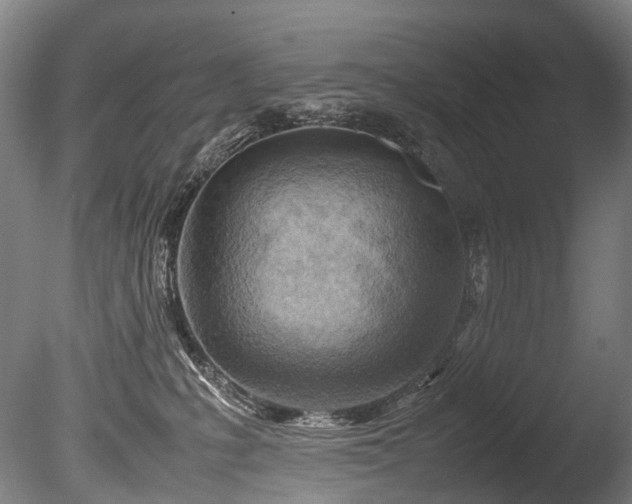 X0000085290231200703161458