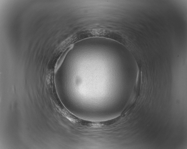 X0000085290233200703161458