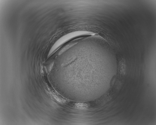 X0000085290234200703161458