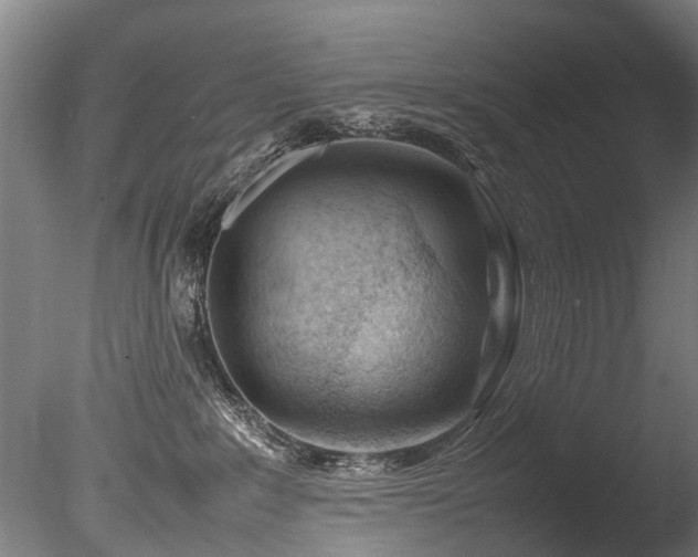 X0000085290235200703161458