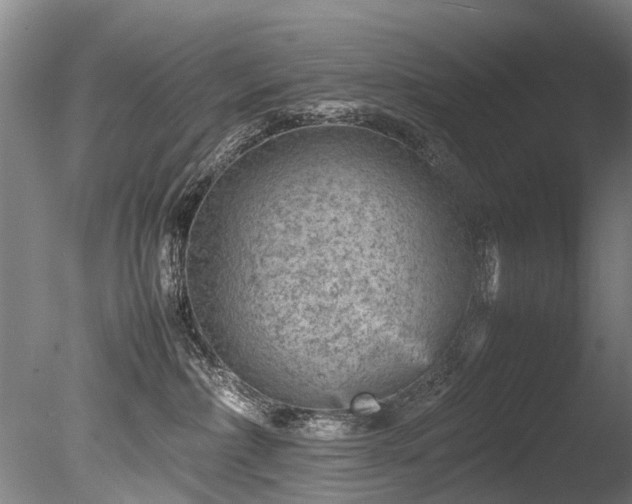 X0000085290236200703161458