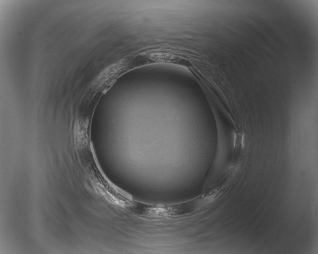 X0000085290239200703161458