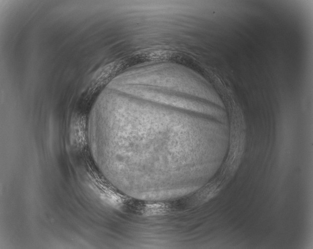 X0000085290240200703161458