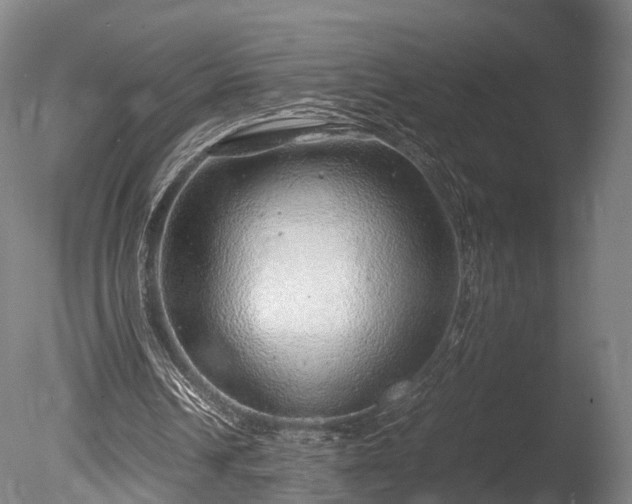 X0000085290242200703161457