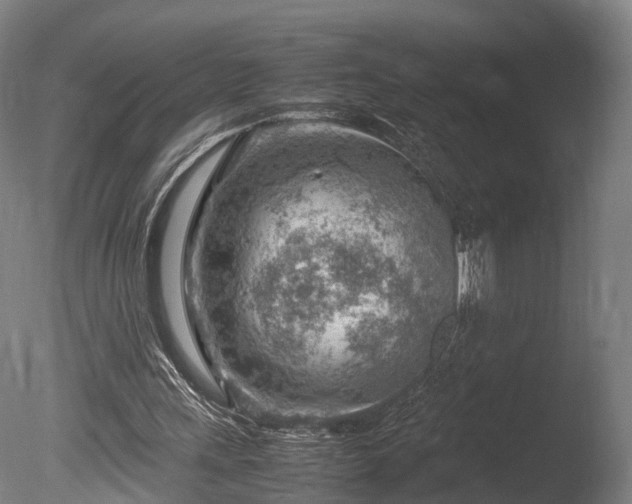 X0000085290243200703161457