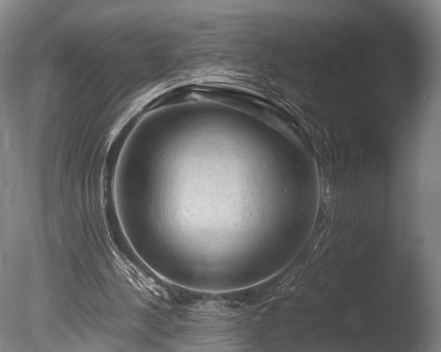 X0000085290244200703161457