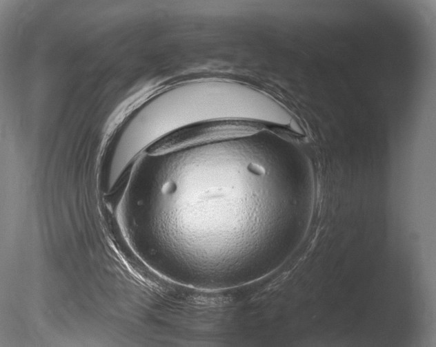 X0000085290245200703161457