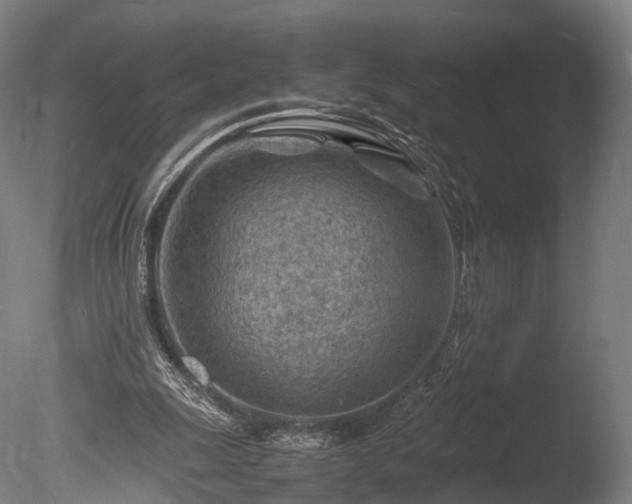 X0000085290247200703161457