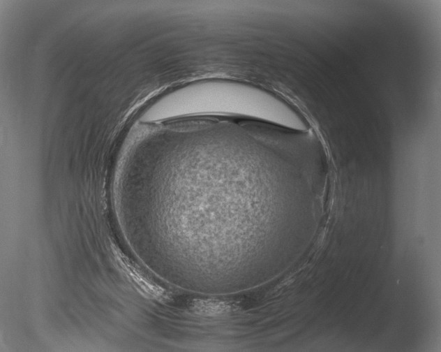 X0000085290249200703161457