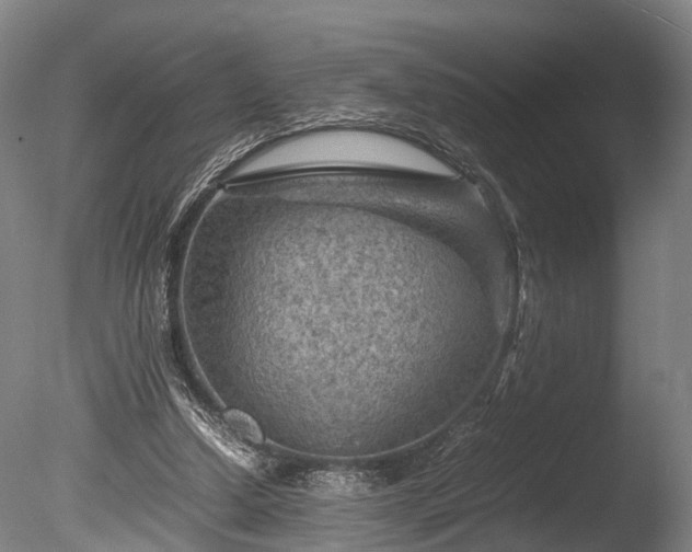 X0000085290250200703161458