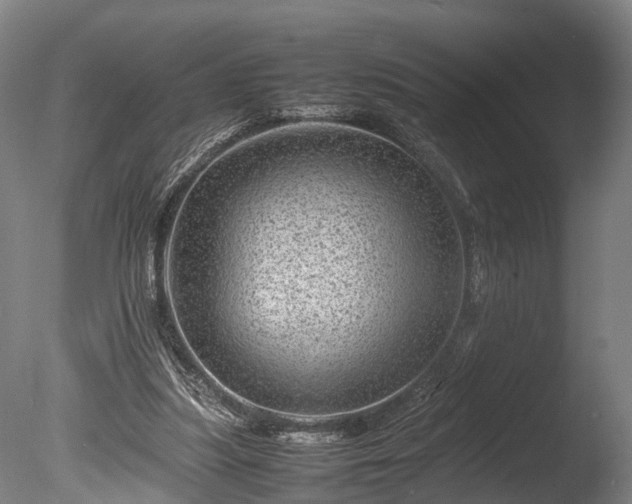 X0000085290251200703161458