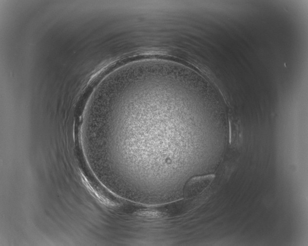 X0000085290253200703161458