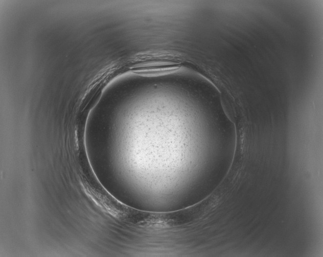 X0000085290254200703161458