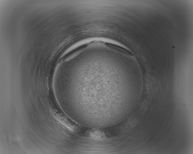 X0000085290258200703161458