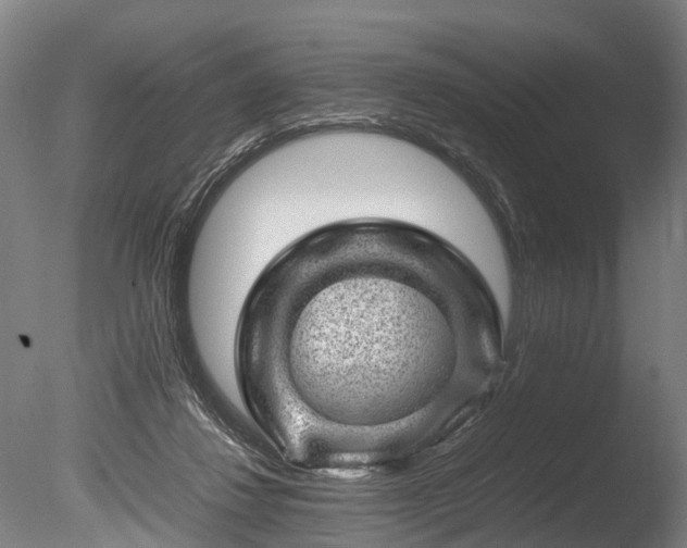 X0000085290260200703161458