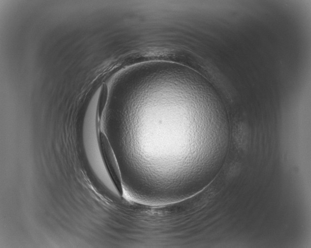 X0000085290261200703161458