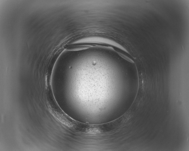 X0000085290262200703161458