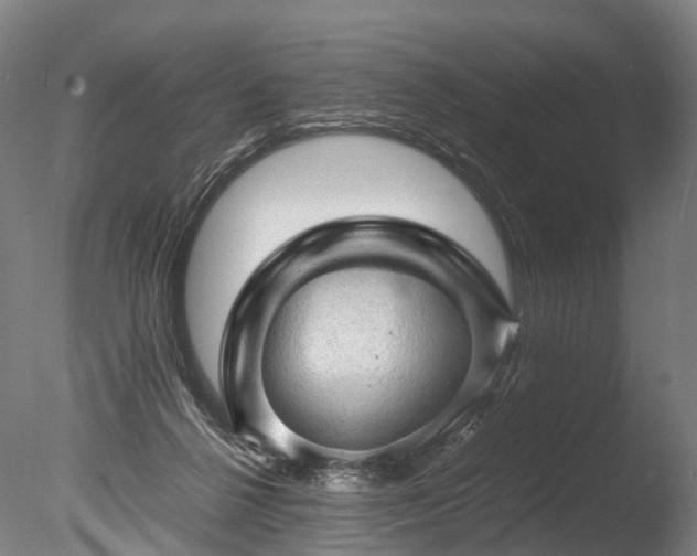 X0000085290264200703161458