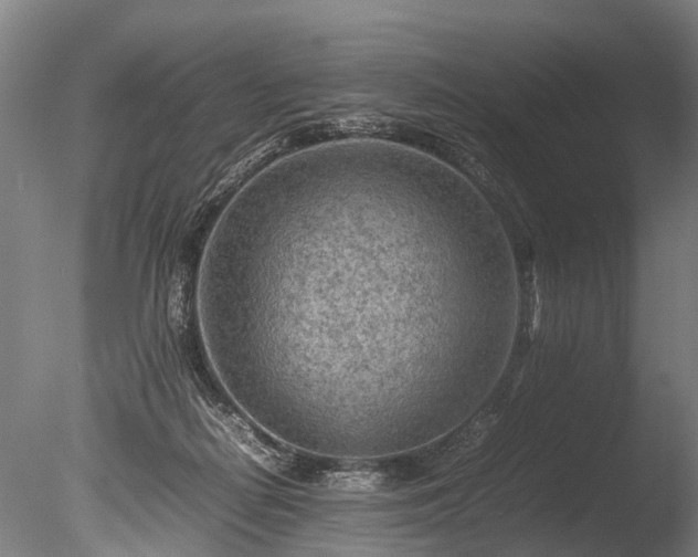 X0000085290266200703161458