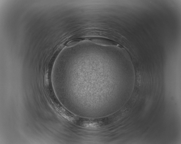 X0000085290267200703161458