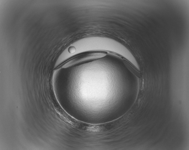 X0000085290269200703161458