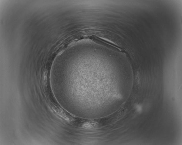 X0000085290271200703161458