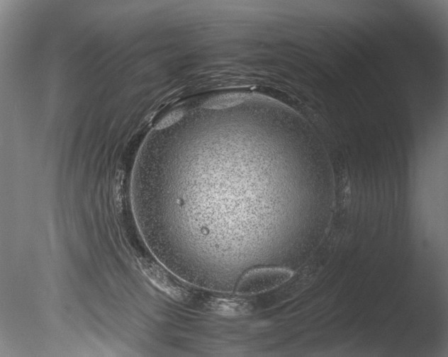 X0000085290275200703161458