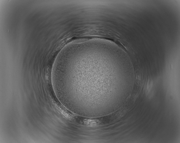 X0000085290277200703161458