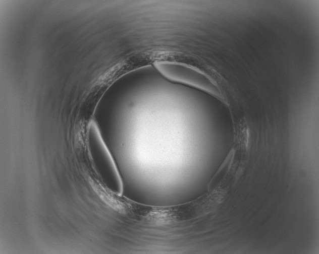 X0000085290280200703161458