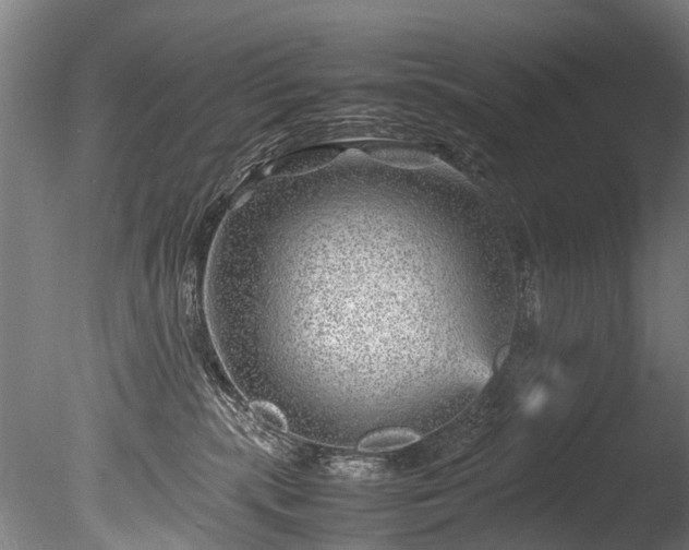 X0000085290283200703161458