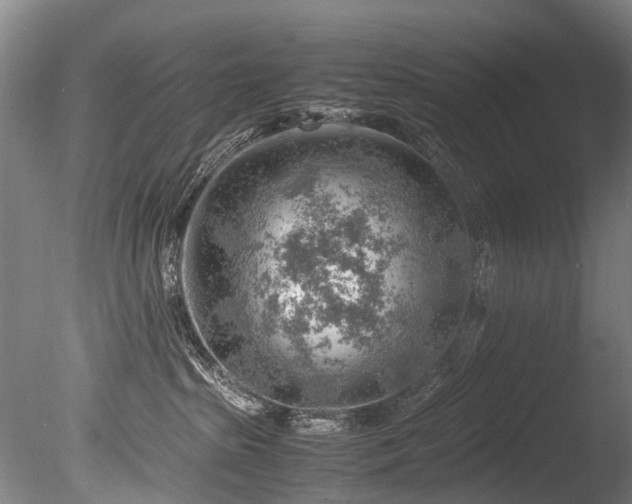 X0000085290285200703161458