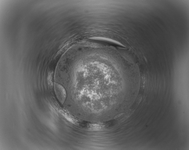 X0000085290286200703161458