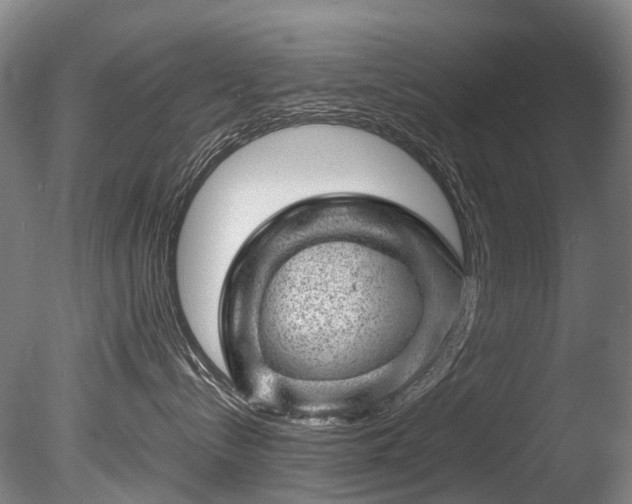 X0000085290288200703161458