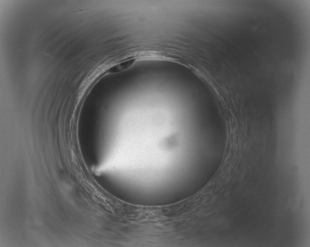 X0000085290289200703161457