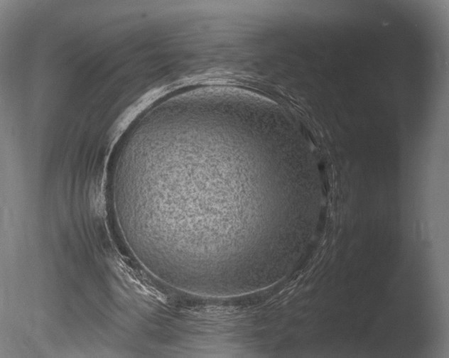 X0000085290292200703161457